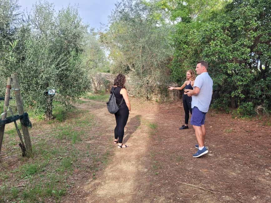 Florence: E-Bike Tour in Tuscany with Winery & Wine Tasting - Price and Value: Is This Worth a Half Day?