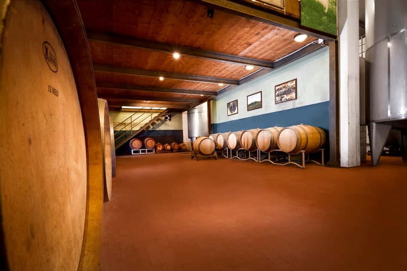 Florence Hills : Winery Tour 18 km from Florence - Chianti-style wines and olive oil you’ll taste in one sitting