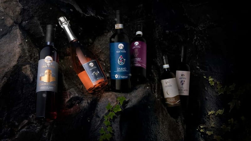 Florence Hills : Winery Tour 18 km from Florence - Taking bottles home: buy on site or ship to your door
