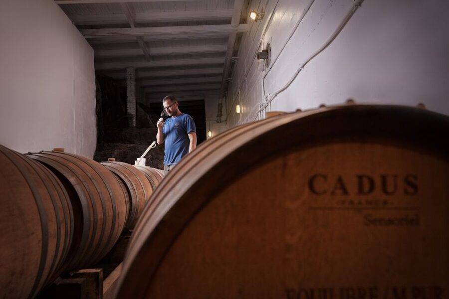 Florence Hills : Winery Tour 18 km from Florence - Is the $23 price a good deal?