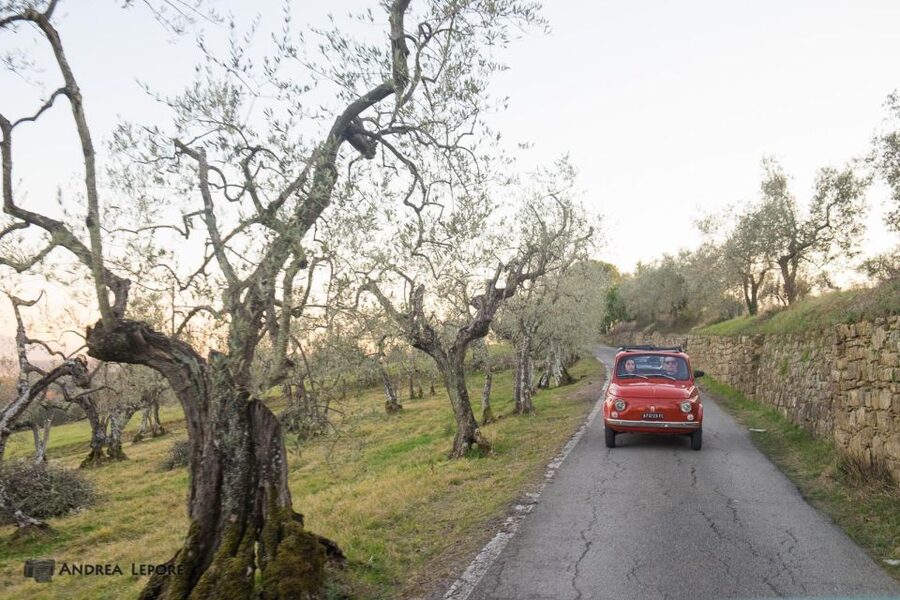 Florence: Private Vintage Fiat500 Countryside & Winery Lunch - Comfort, Safety, and Who Should Skip This Fiat 500 Tour