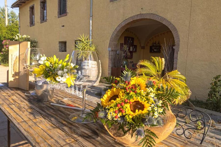 Florence: Secret of Wine and Cheese in a Winery - Farmhouse winery time: vineyard views and a calm setting