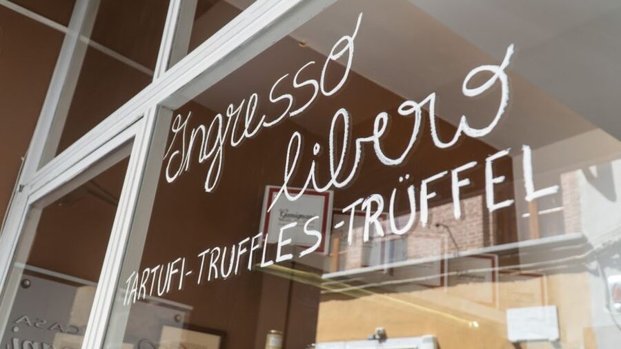 Florence: Truffle Hunting and Vinci with Lunch and Winery - Wine tasting at a family-owned winery near Chianti