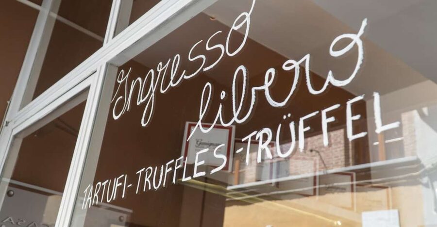 Florence: Truffle Hunting and Vinci with Lunch and Winery - Should you book this Florence truffle, Vinci, and winery day?