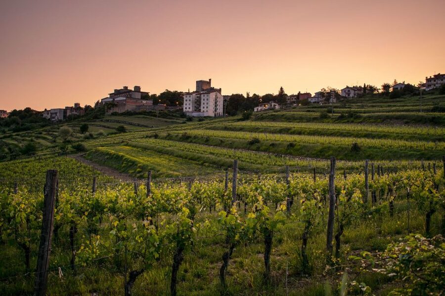 Florence: Tuscany Chianti Winery Private Day-Trip with Lunch - Key things that make this Chianti trip worth your time