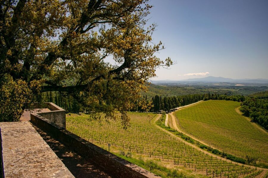 Florence: Tuscany Chianti Winery Private Day-Trip with Lunch - Lunch at the private estate: organic ingredients and Chianti pairings
