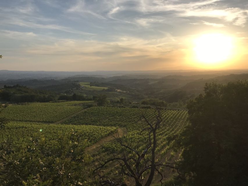 Florence: Tuscany Chianti Winery Private Day-Trip with Lunch - Shopping without pressure: bring home Chianti and olive oil you can explain