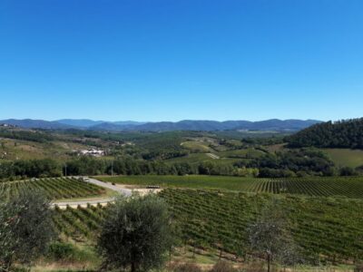 Florence: Vintage Fiat 500 Tour with Chianti Winery & Lunch - Chianti Classico Drives: Vineyards, Olive Groves, And Real Country Roads
