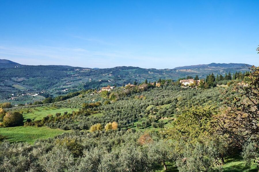 Florence: Vintage Fiat 500 Tour with Wine Tasting at Winery - Price and value: why $152 can be fair for a private 2-hour outing
