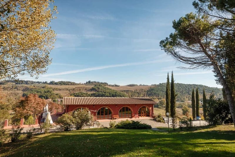 Florence: Wine Tasting at a Vineyard With a Local Winemaker - Cellar Tour: Where Aging Happens and Why It Changes the Wine