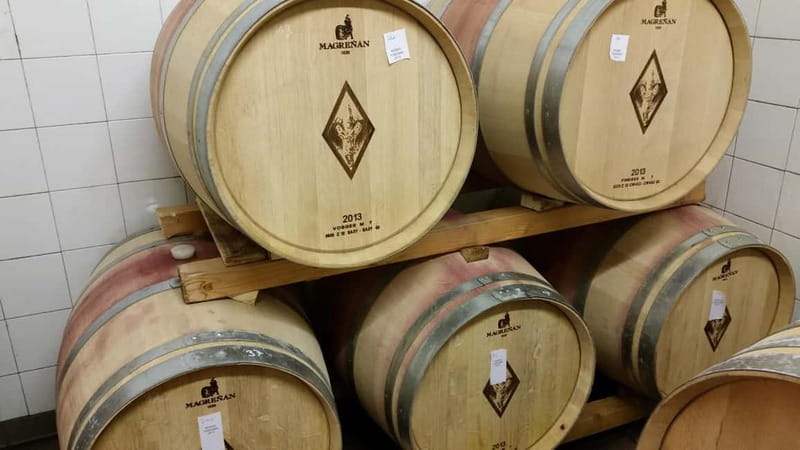Florence: Wine Tasting at a Vineyard With a Local Winemaker - What to Bring and How to Prep for a Smooth Day