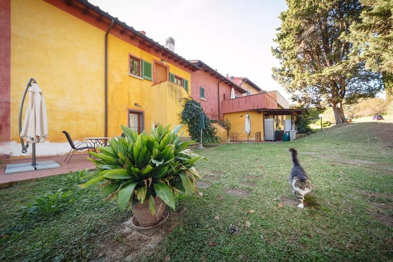 Florence: Wine Tasting at a Vineyard With a Local Winemaker - Vineyard Walk: Learning Grape Varieties While You’re Standing Among Them