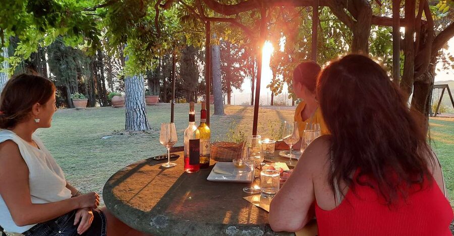 Florence Wine Tour with Traditional Lunch, Private Winery - Getting Out of Florence Fast: Van Views and Simple Stops