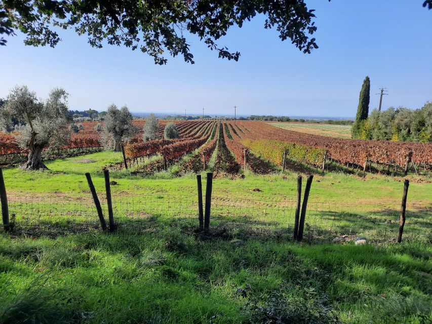 Florence Wine Tour with Traditional Lunch, Private Winery - FAQ