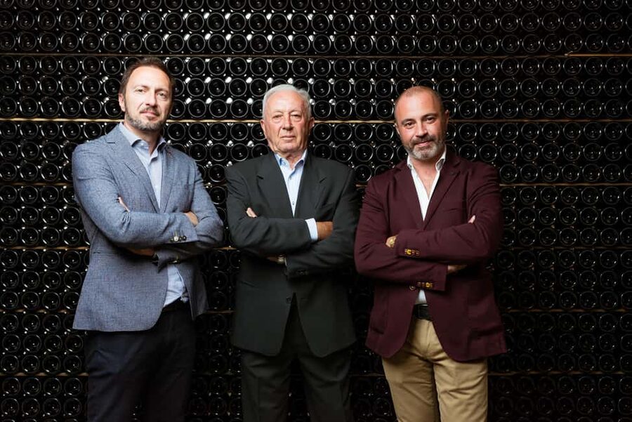 Franciacorta: visit the vineyard, cellar, and enjoy an Edea To tasting - Key points you’ll care about