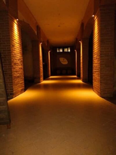 Franciacorta: visit the vineyard, cellar, and enjoy an Edea To tasting - Vineyard walk at the Pinot Blanc collection: what you’re really looking at