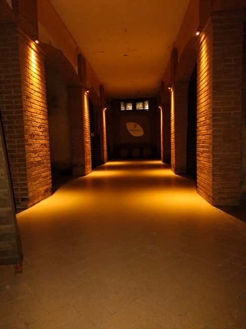Franciacorta: visit the vineyard, cellar, and enjoy an Edea To tasting - Vineyard walk at the Pinot Blanc collection: what you’re really looking at