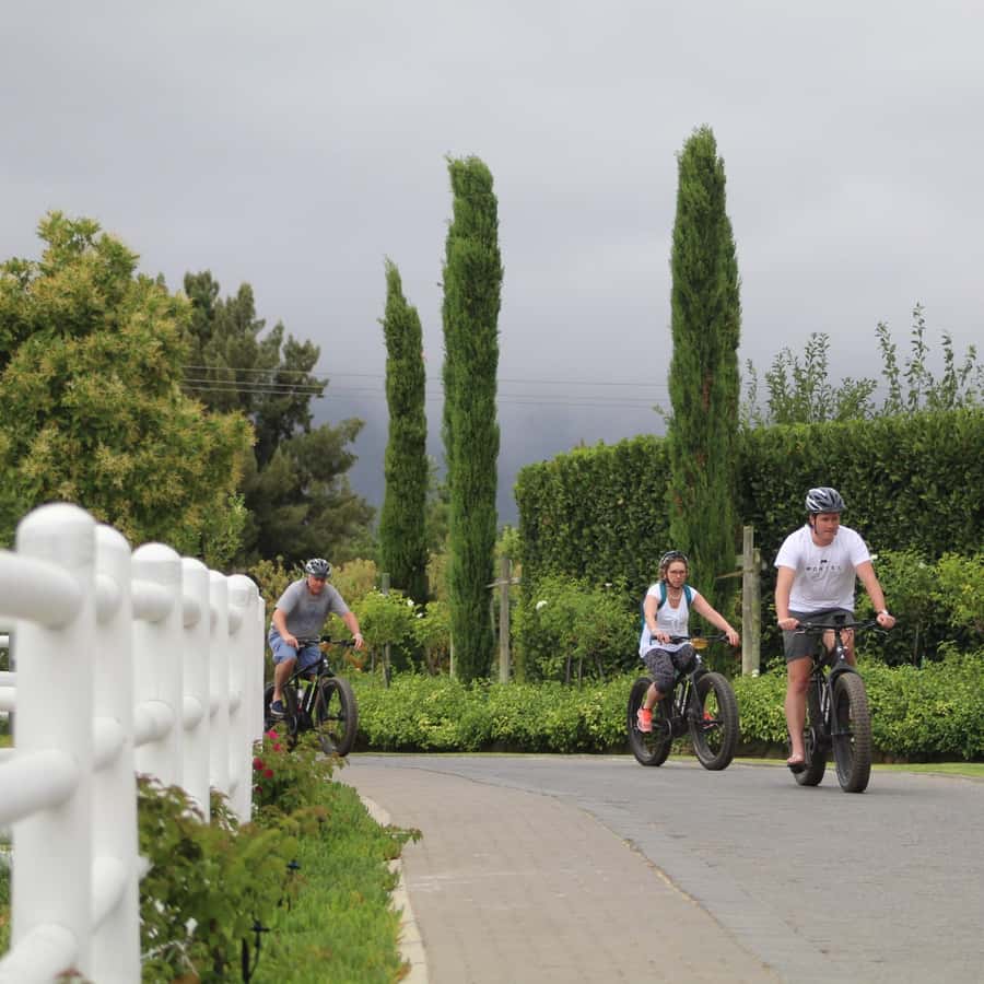 Franschhoek: E-Bike Guided Winery Tour - Why Franschhoek works so well on an e-bike