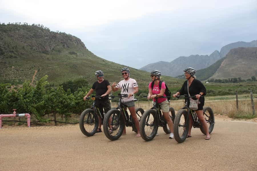 Franschhoek: E-Bike Guided Winery Tour - Price and value: is $89 fair for 210 minutes?