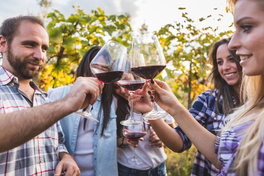 Frascati Private Tour w/ Lunch & Wine Tasting in a Vineyard - The wine tasting: white, red, and sweet (with local food pairings)