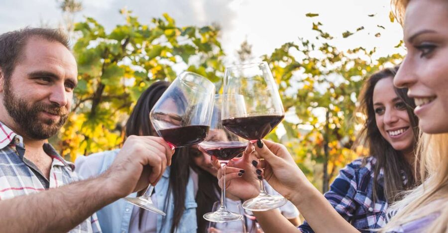 Frascati Private Tour w/ Lunch & Wine Tasting in a Vineyard - Lunch in Frascati: when the Full Option feels worth it