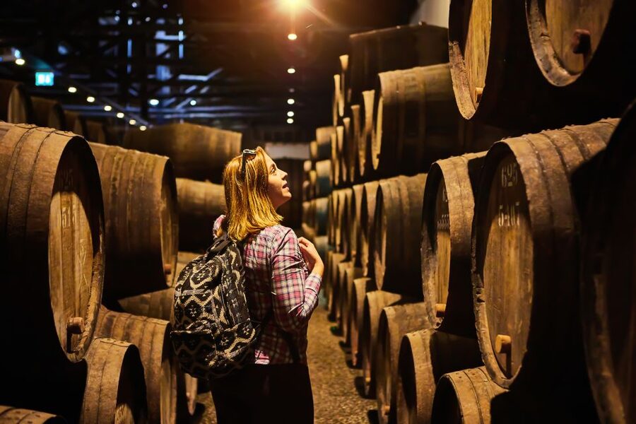 Frascati Private Tour w/ Lunch & Wine Tasting in a Vineyard - Price and value: is $279.81 per person fair?