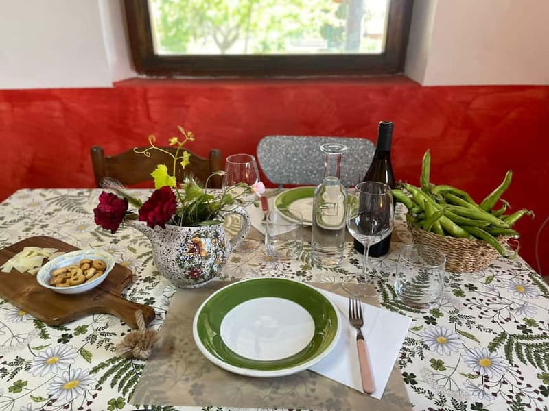 Frascati: Vineyard Wine Tasting Tour with Snacks - Key Highlights You’ll Care About