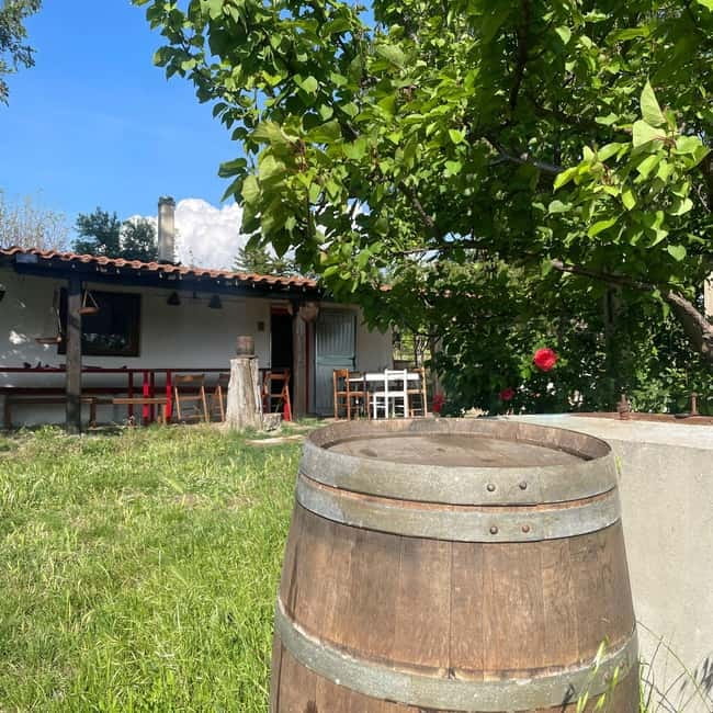 Frascati: Vineyard Wine Tasting Tour with Snacks - The Farmhouse Tastings: 3 Local Wines, Snacks, and Salumi