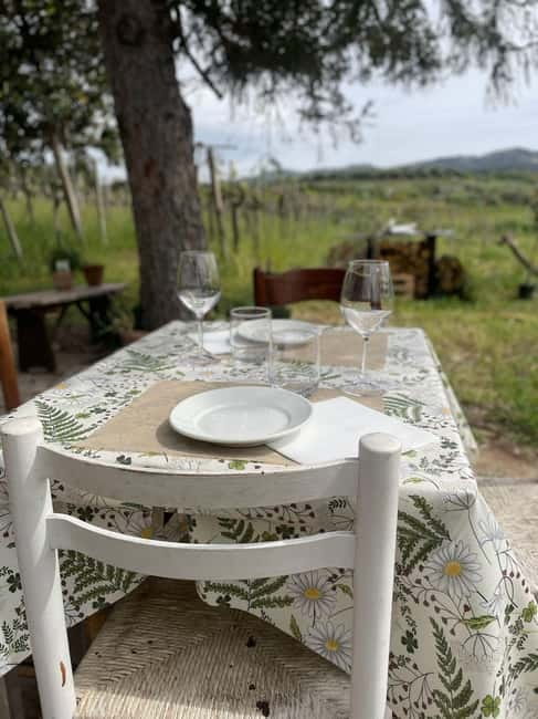 Frascati: Vineyard Wine Tasting Tour with Snacks - House Wine on Arrival, Then Coffee and Local Liquor