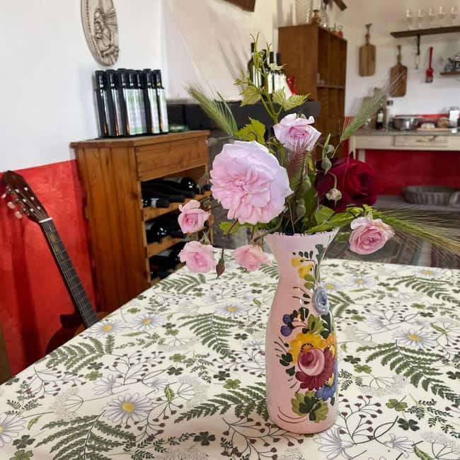 Frascati: Vineyard Wine Tasting Tour with Snacks - Who This Tour Fits Best (and Who Should Skip It)