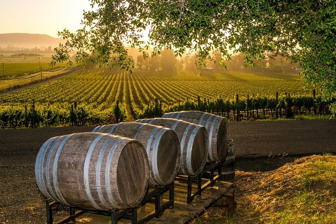 Fredericksburg Wine Tour with Three Winery Stops Plus Lunch - Key Highlights at a Glance