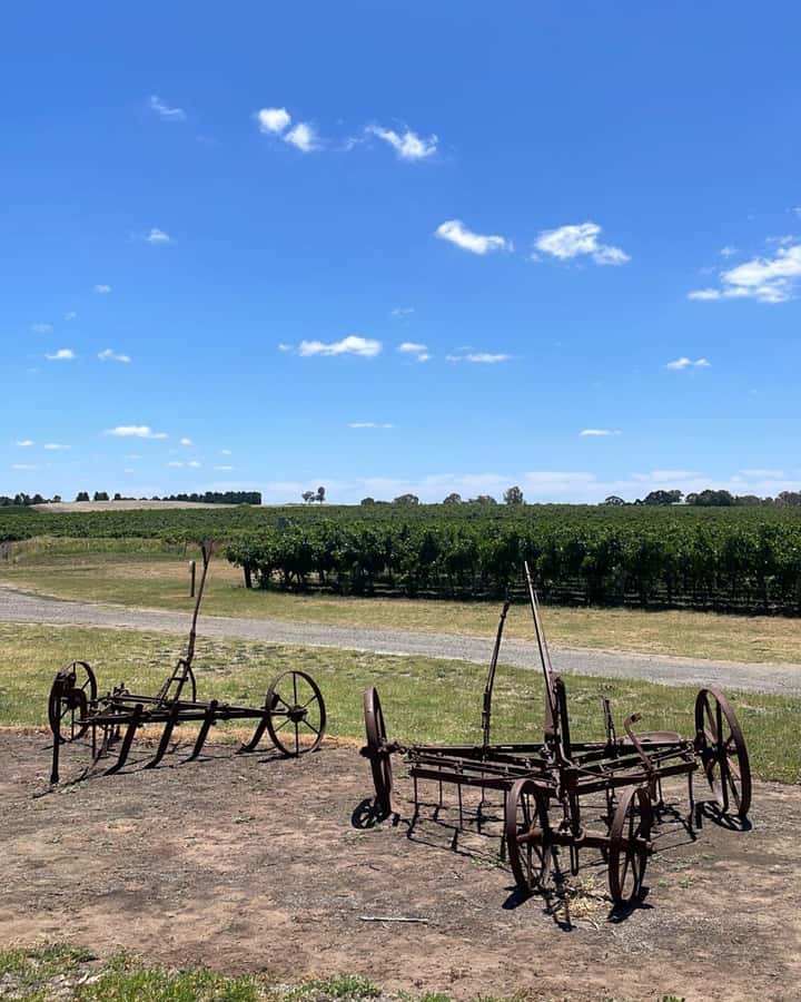 From Adelaide: Barossa to Hahndorf Wine Tasting and Lunch - Chateau Tanunda: first tasting, first comparison