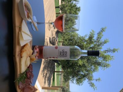 From Albufeira: 4x4 Off-Road Safari & Vineyard Wine Tasting - 4x4 Off-Road Safari Through Orange Groves, Cork Forests, And Hills