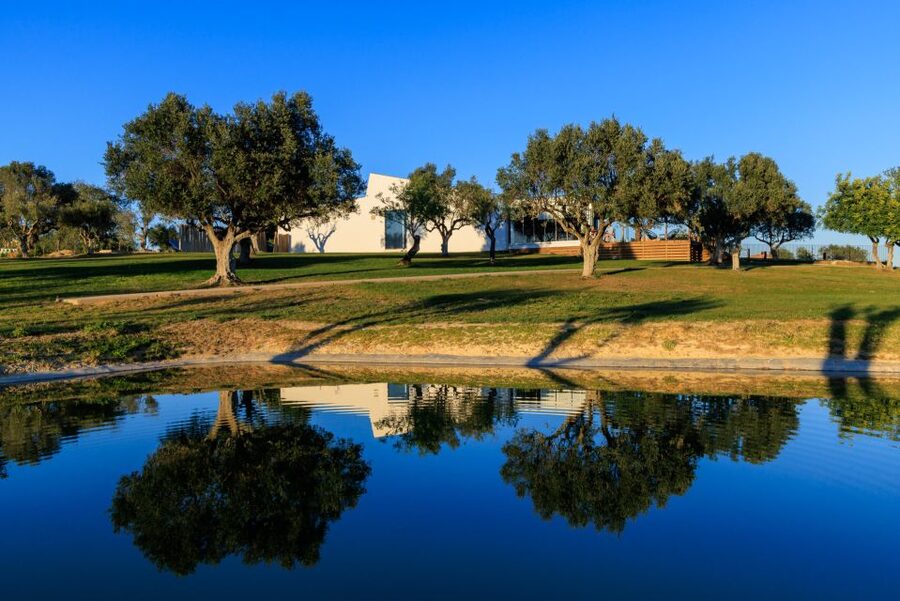 From Albufeira: 4x4 Off-Road Safari & Vineyard Wine Tasting - Tips That Make the Difference: Cash, Sunscreen, And What To Wear