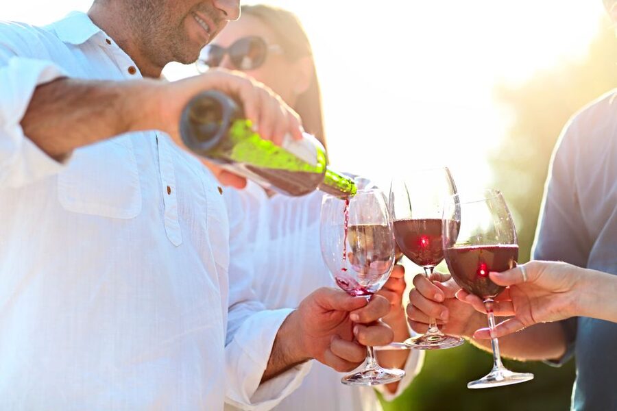 From Albufeira: Wine Tasting & Historic Silves Tour - The family winery visit: from vines to cellar