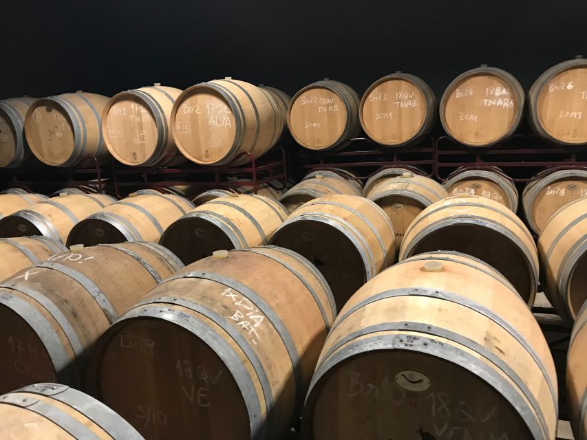 From Albufeira: Wine Tasting & Historic Silves Tour - Wine tasting: three Algarve pours with regional nibbles