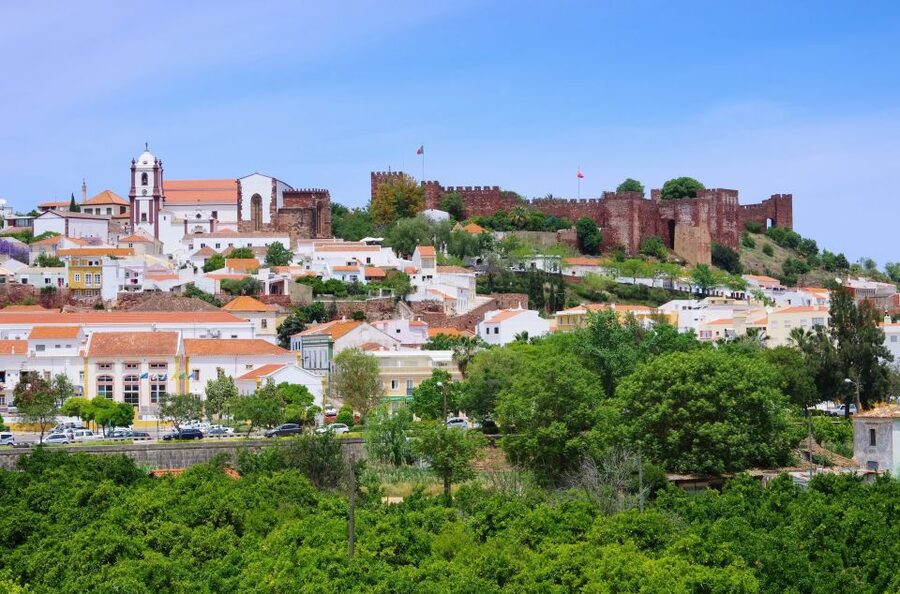 From Albufeira: Wine Tasting & Historic Silves Tour - The value question: is $76 per person actually worth it?