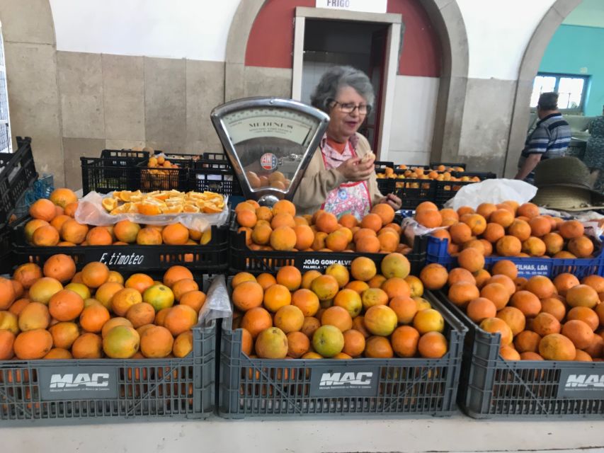 From Albufeira: Wine Tasting & Historic Silves Tour - Who should book this tour, and who should skip it
