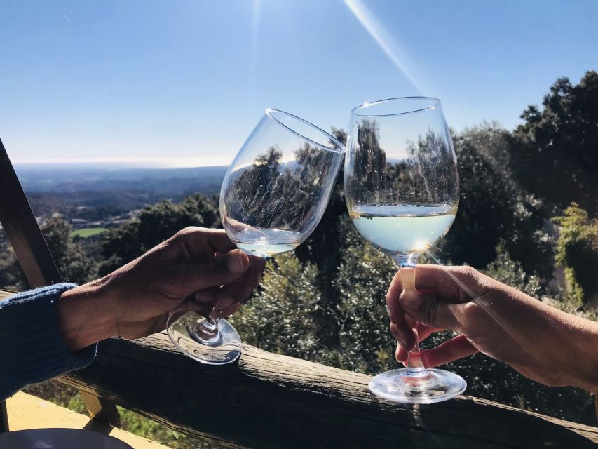 From Albufeira: Wine Tasting & Historic Silves Tour - The ride out of Albufeira: orange groves, cork trees, and quick perspective shifts