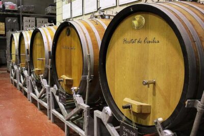 From Alicante: Premium visit to the winery. The best of our wines. - The Novelda stop: a quick local reset
