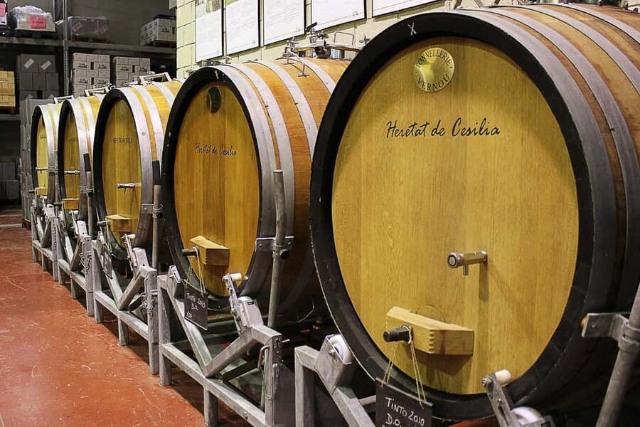 From Alicante: Premium visit to the winery. The best of our wines. - The Novelda stop: a quick local reset