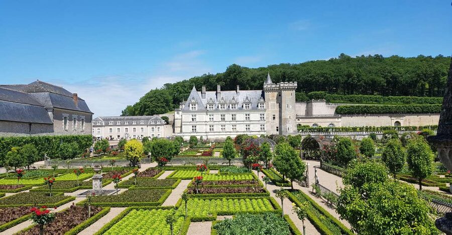 From Amboise: Villandry, Azay-le-Rideau & Local Wineries - Azay-le-Rideau and Villandry in one day: why this pairing works