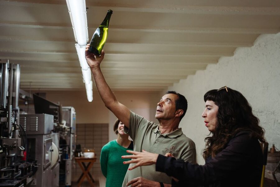 From Barcelona: Montserrat & Cava Winery Day Trip - Price and Value: Why $211 Can Make Sense for This Day