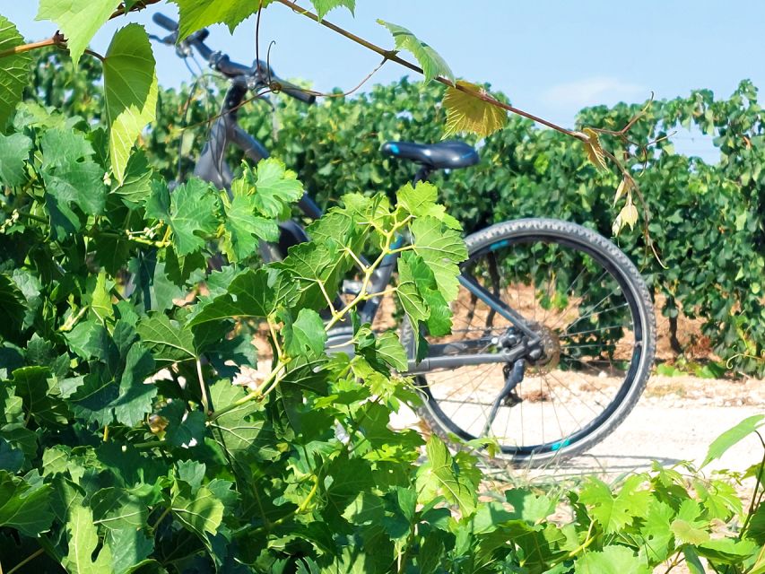 From Barcelona: Penedès E-Bike Tour with 2 Winery Visits - Key things that make this Penedès e-bike tour worth your time