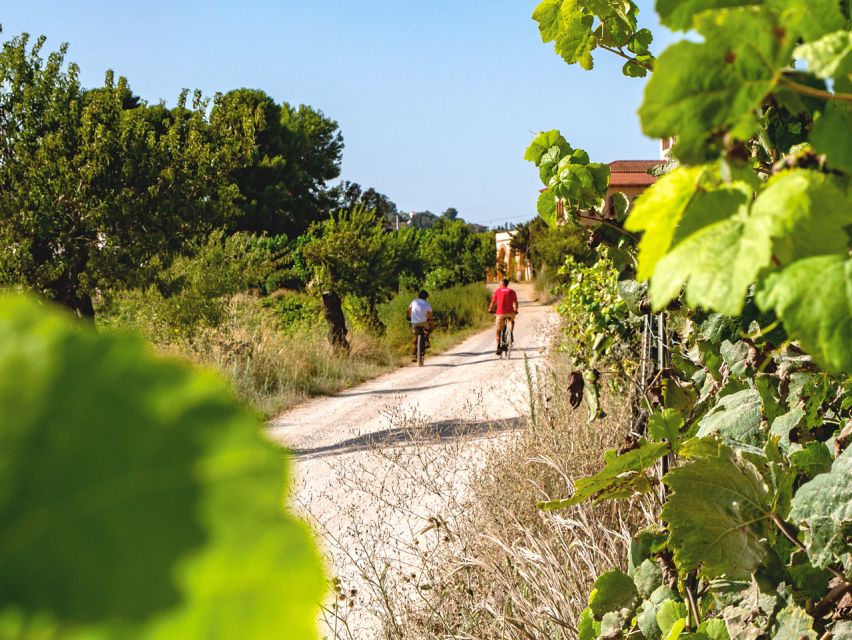 From Barcelona: Penedès E-Bike Tour with 2 Winery Visits - Stop 1: a family winery and a natural/biodynamic tasting