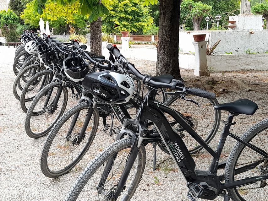 From Barcelona: Penedès E-Bike Tour with 2 Winery Visits - The best kind of day trip: small-group pacing and real conversation