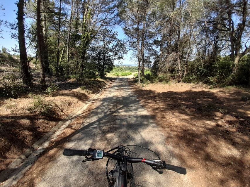 From Barcelona: Penedès E-Bike Tour with 2 Winery Visits - Getting back to Barcelona: your afternoon plan in Vilafranca