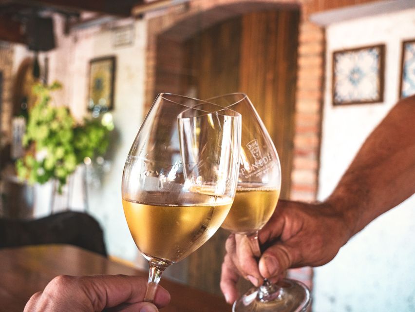 From Barcelona: Penedès E-Bike Tour with 2 Winery Visits - Practical checklist before you go (so the day stays fun)