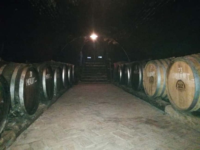 From Belgrade: Novi Sad & Fruska gora & winery and monastery - Vinariја Živanović and the Bermet tasting: why this wine is different