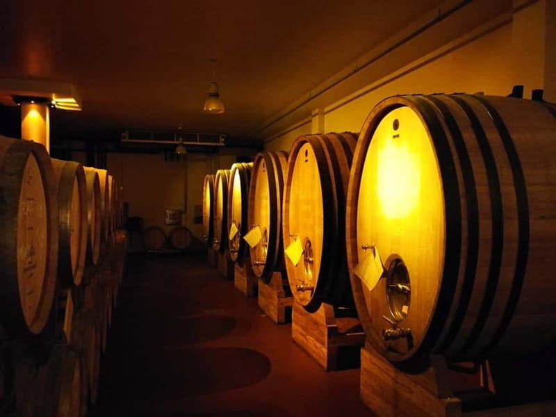 From Belgrade: Subotica and Palic Full-Day Trip with winery - Key things to know before you go